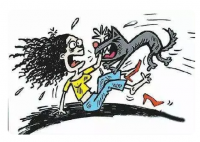 學(xué)?；貞?yīng)校內(nèi)數(shù)只大型犬咬傷學(xué)生 真相曝光簡(jiǎn)直太驚人了