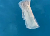 泳池驚現(xiàn)衛(wèi)生巾?園方回應(yīng) 真相揭露真的令人大吃一驚