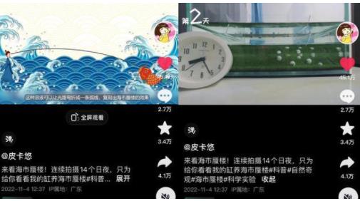 女生用一個魚缸做出海市蜃樓 經(jīng)過反復(fù)失敗終于成功了