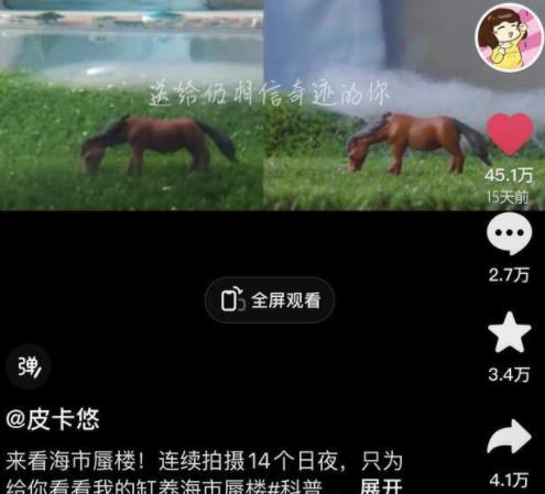 女生用一個(gè)魚缸做出海市蜃樓 經(jīng)過(guò)反復(fù)失敗終于成功了