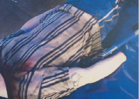 日本札幌一酒店驚現(xiàn)無頭男尸 赤身裸體頭部被刀具切斷帶走