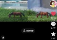 女生用一個魚缸做出海市蜃樓 經(jīng)過反復(fù)失敗終于成功了