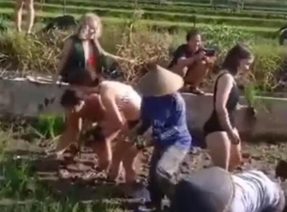 游客穿比基尼幫巴厘島農(nóng)民種莊稼 是幫忙還是在作秀惹人爭議