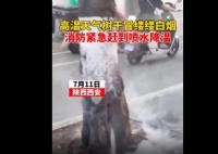 高溫天氣西安一行道樹(shù)冒白煙 原因太出乎意料了