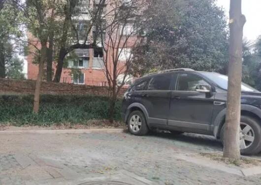 副教授遇害案一審:被告人患精神疾病 具體事件經(jīng)過是什么?