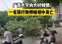 校方回應(yīng)教師被樹砸中身亡 背后原因簡直驚呆了眾人