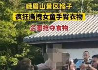 女童被峨眉山猴子撕拽搶奪食物 真相揭露真的令人大吃一驚
