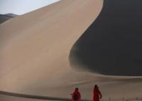 景區(qū)擺渡車,載客還是“宰客”? 真相曝光簡直太驚人了