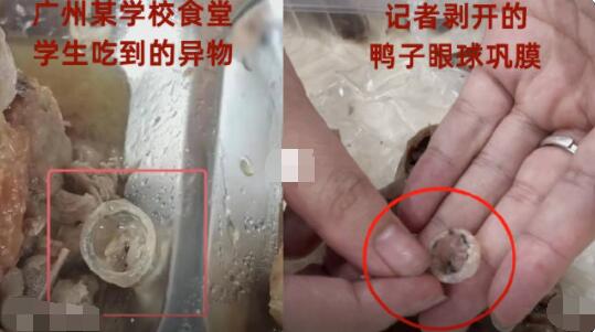 異物是鴨眼鞏膜?記者解剖多個鴨頭 鴨眼球鞏膜到底什么樣子呢?
