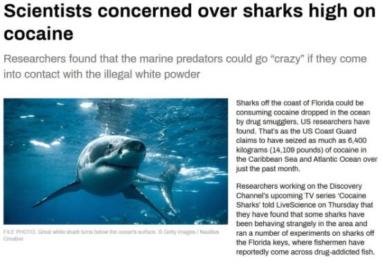 美國(guó)毒販海岸扔毒品或致鯊魚(yú)上癮 真相曝光簡(jiǎn)直太驚人了