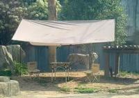 重金懸賞與虎同住的動物園被罰 真相曝光簡直太驚人了 