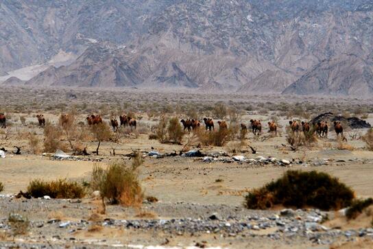 自駕進(jìn)羅布泊失聯(lián)者均遇難 真相曝光簡(jiǎn)直太驚人了