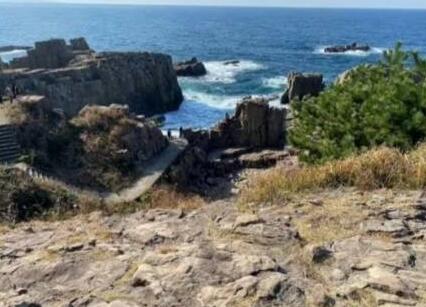 日本學生害怕被AI取代而自殺 原因竟是這樣實在是太意外了