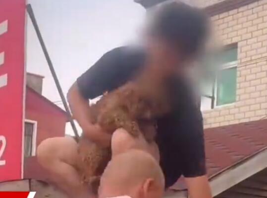 涿州男子獲救后折返找狗被吐槽 真相曝光簡(jiǎn)直太驚人了