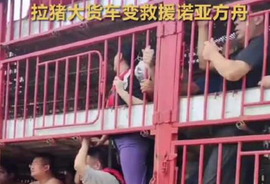 涿州洪災(zāi) 拉豬大貨車變“諾亞方舟” 原因太出乎意料了