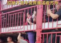 涿州洪災(zāi) 拉豬大貨車變“諾亞方舟” 真相曝光簡直太驚人了  