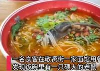 顧客吃面發(fā)現(xiàn)碗里有完整死老鼠 照片曝光實在是太嚇人了