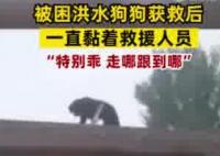 小狗被救后黏上救援隊隊員 真相曝光簡直太驚人了