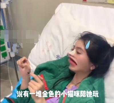 女生吃菌中毒 看見貓咪結(jié)婚 原因竟是這樣實在是太意外了