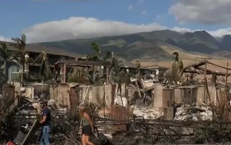 夏威夷大火后多人接房地產(chǎn)收購電話 真相曝光簡直太驚人了 