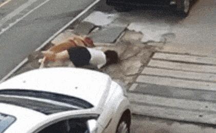 金毛撲倒女子事件雙方已和解 到底是什么情況?