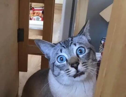 男子為“前女友”交房貸后被拉黑 真相曝光簡直太驚人了