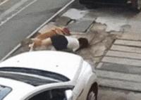 金毛撲倒女子事件雙方已和解 背后原因簡直驚呆了眾人  