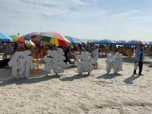 專家稱北海咬傷多人魚類不是鯊魚 到底是什么情況?