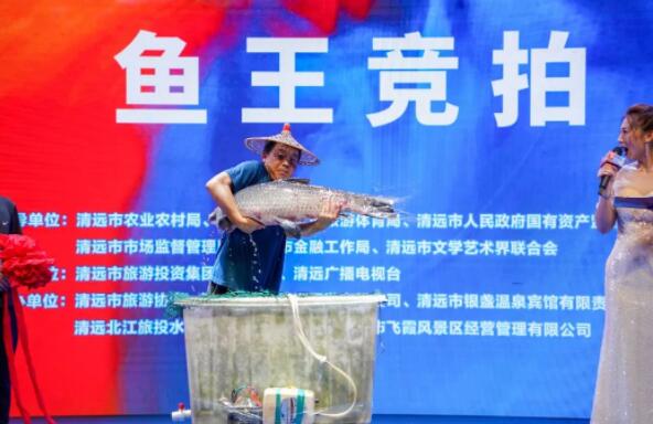 “魚王”拍出30萬 買家當(dāng)場放生 原因竟是這樣實在是太意外了