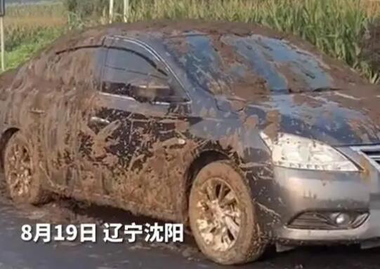 小車被運糞車追尾灌一車糞便 真相曝光簡直太驚人
