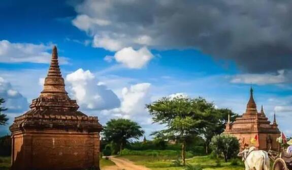 多個孩子被中介2萬一個帶到緬甸 真相曝光簡直太驚人了