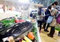 日本排污入海:有日料店轉(zhuǎn)賣粵菜 真相曝光簡直太驚人了