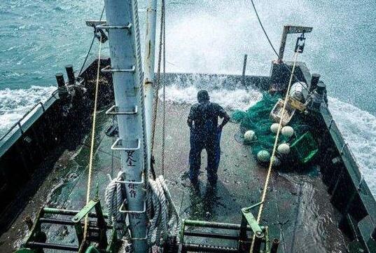 中國(guó)漁民:日本把我財(cái)路給斷了 到底是什么情況?