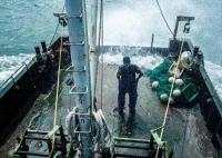 中國(guó)漁民:日本把我財(cái)路給斷了 真相曝光簡(jiǎn)直太驚人了