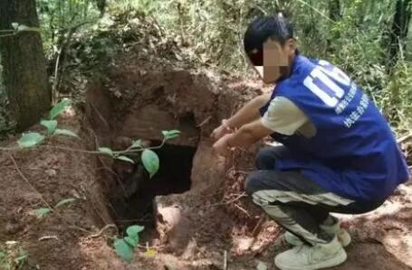四川男子邀約多人盜墓9處被抓 真相曝光簡直太驚人了