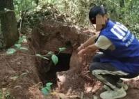 四川男子邀約多人盜墓9處被抓 真相曝光簡直太驚人了