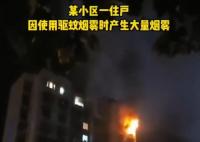 用驅(qū)蚊煙霧后開電扇瞬間爆燃 真相曝光簡直太驚人了