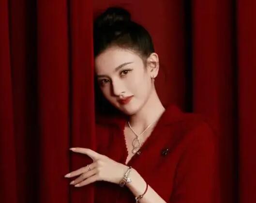 稅務總局:會對宋祖兒開展稅務稽查 到底是什么情況?