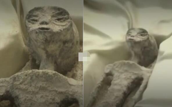 全球首個(gè)承認(rèn)外星生物存在的國家 墨西哥展出兩具疑似 " 外星生物 " 的遺骸