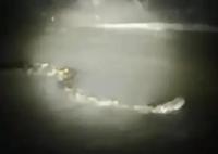 周口河中現(xiàn)巨型“長蟲”?當(dāng)?shù)鼗貞?yīng) 大的蟒蛇是非常罕見的