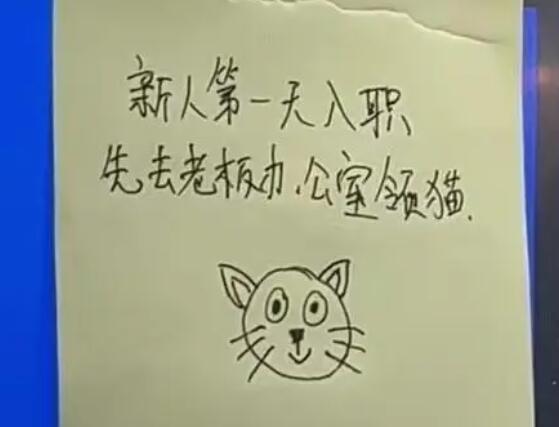 重慶一公司回應新員工可領貓 招聘時養(yǎng)寵物應聘者優(yōu)先考慮