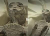 墨西哥非人類遺骸發(fā)現(xiàn)者被扒 強(qiáng)烈質(zhì)疑“遺體”為人造