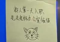 重慶一公司回應(yīng)新員工可領(lǐng)貓 成為網(wǎng)友們口中的“神仙公司”