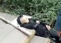 男孩扔木塊砸死老人被判賠58萬 事件經(jīng)過是什么?