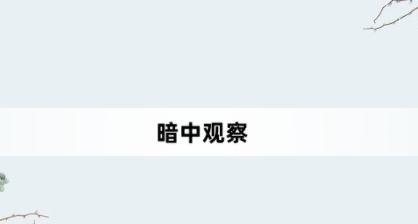 暗中觀察網(wǎng)絡梗詞解釋