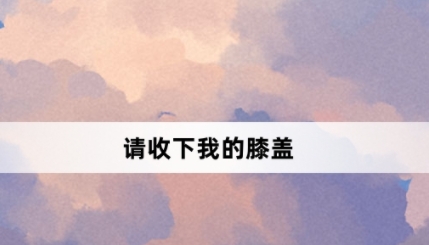 請(qǐng)收下我的膝蓋網(wǎng)絡(luò)梗詞解釋