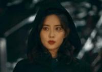 西出玉門龍芝為什么要葉流西死?