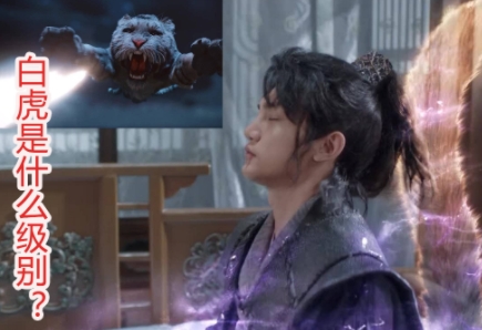 虎x鶴妖師錄等級劃分 妖怪等級排行