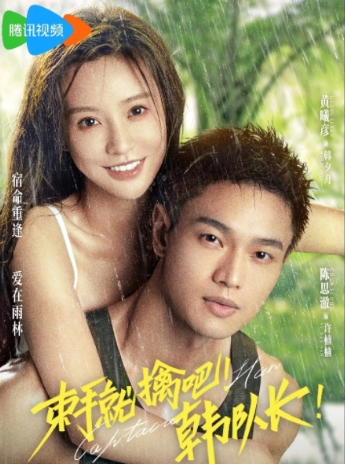 束手就擒吧韓隊(duì)長一共幾集?