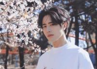 大唐小吃貨2司馬清揚(yáng)是誰演的?